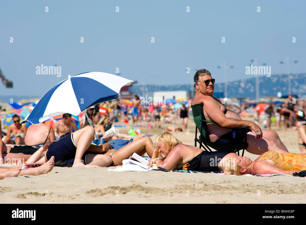 Lucertole da mare su una affollata spiaggia mediterranea Foto Stock