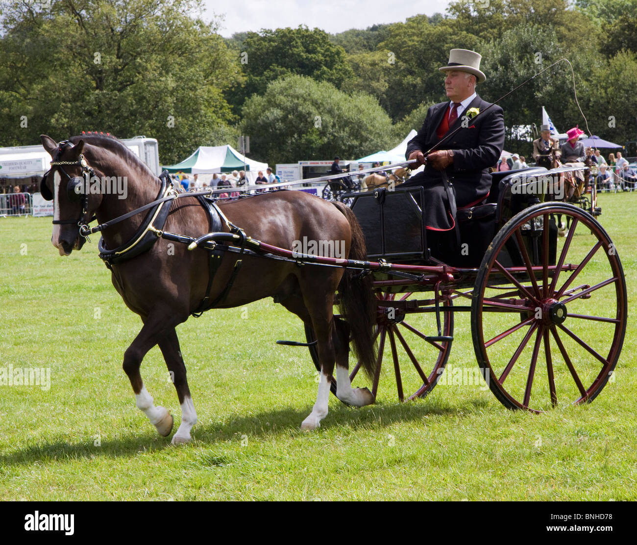 Concorrente nella luce privato concorso di guida, Cranleigh Show 2009 Foto Stock