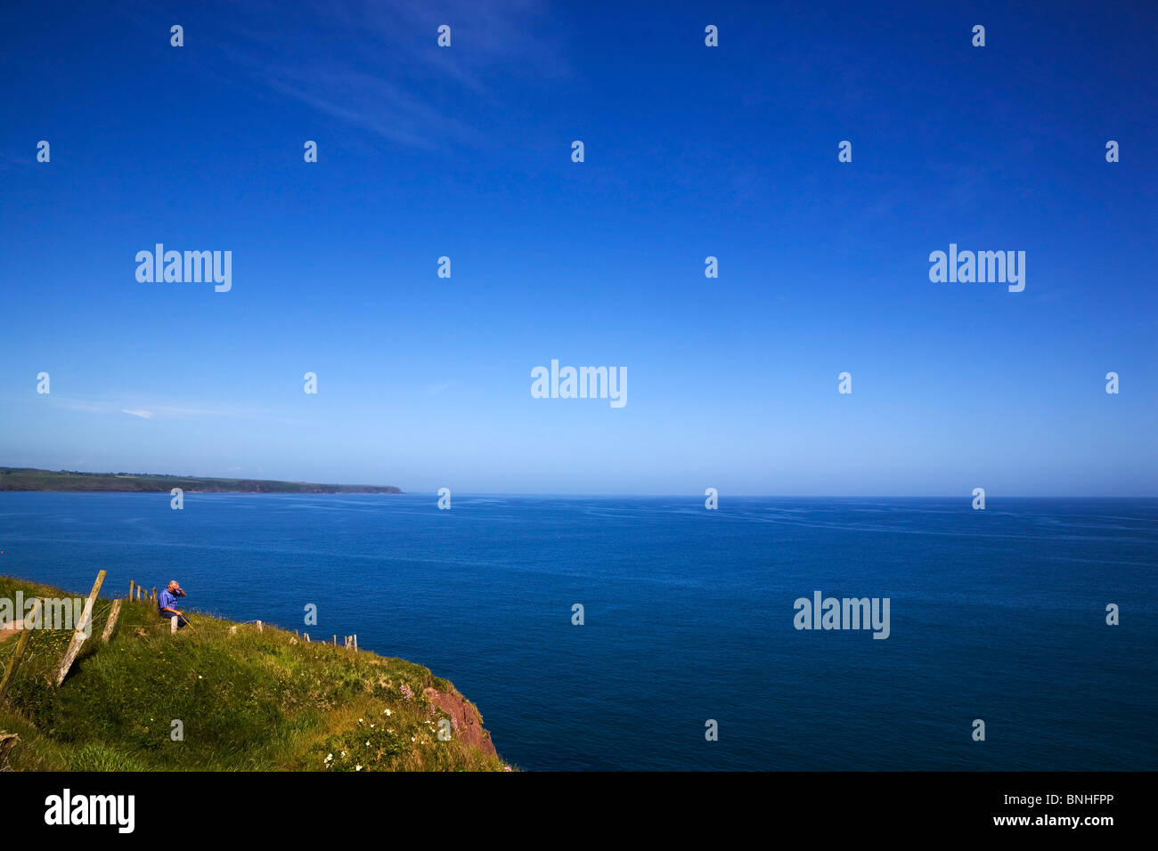 Cliff Walk sulla testa di ariete aka Ardmore testa, nella contea di Waterford, Irlanda Foto Stock