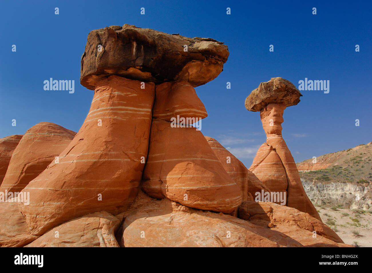 Stati Uniti d'America Kanab Utah Toadstools Hoodoos Scalone Escalante National Monument vicino a Kanab colonne di erosione torri scogli di roccia Foto Stock