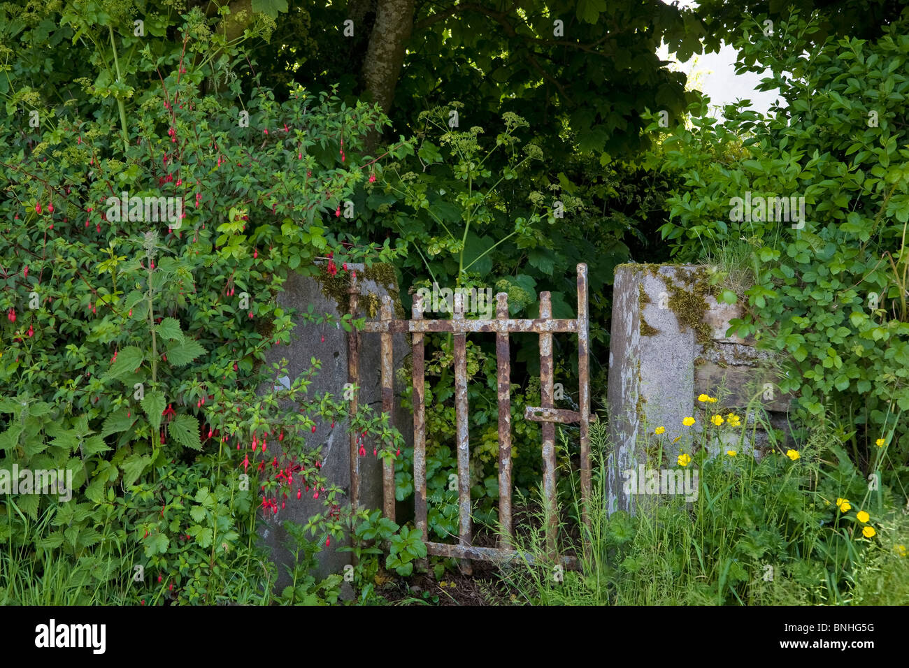 Il vecchio Gateway, Ardmore, nella contea di Waterford, Irlanda Foto Stock