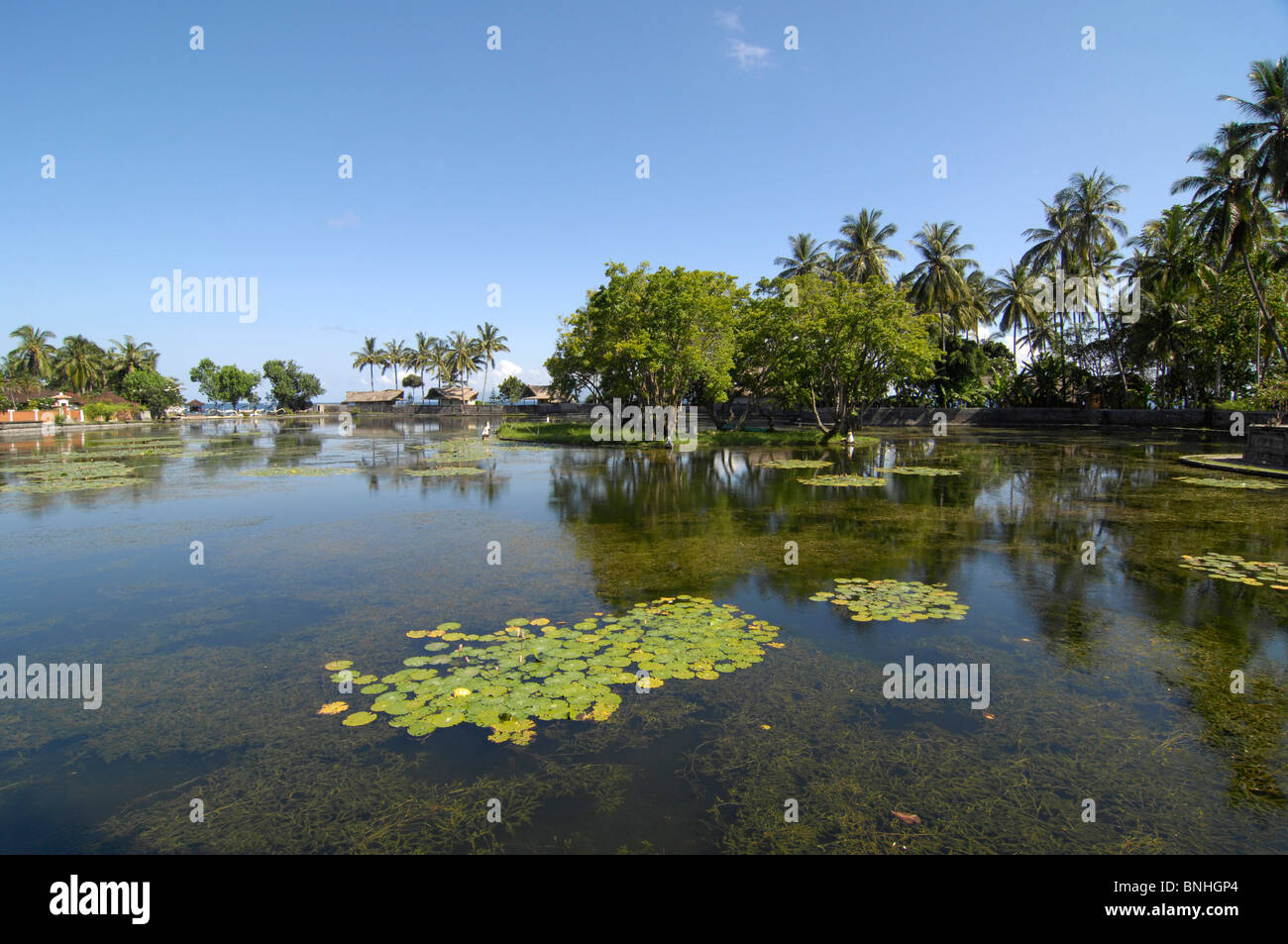 Bali Indonesia asia travel Location Candi Dasa acqua di stagno lily acqua di lago natura Foto Stock