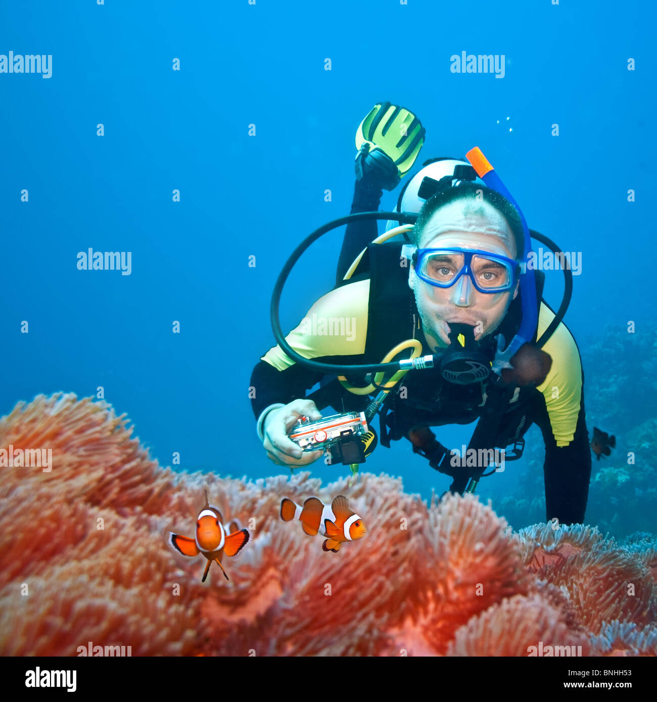 Fotografo subacqueo e Clownfishes nel loro anemone Foto Stock