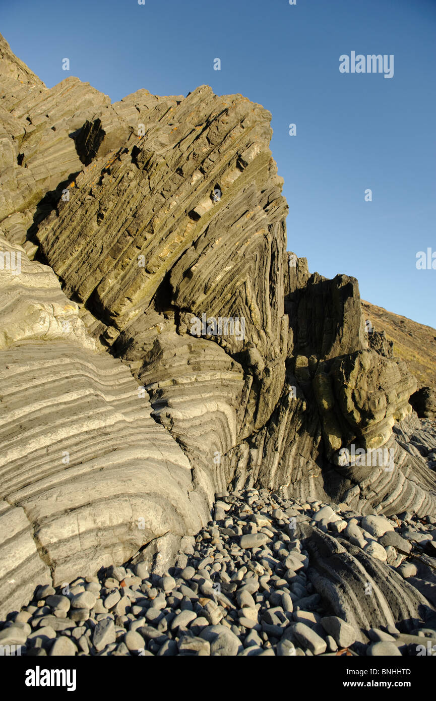 Rocce di età Silurian (Llandovery) formando una ben sviluppata turbidite sequenza di limaccioso scure rocce argillose alternate a più pallida sands Foto Stock