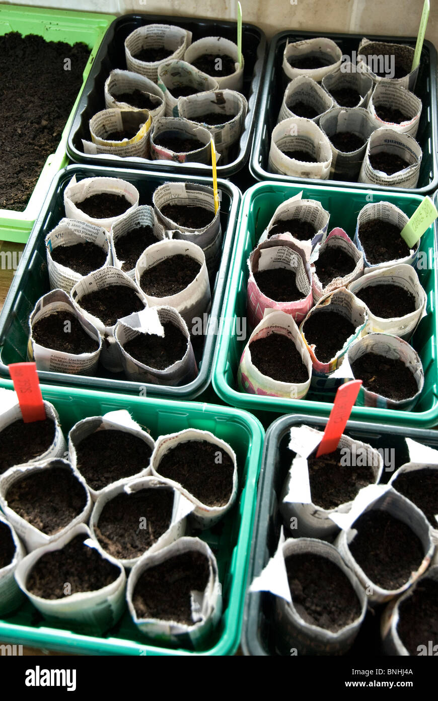 Le sementi piantate in vasi fatti di giornale Foto Stock