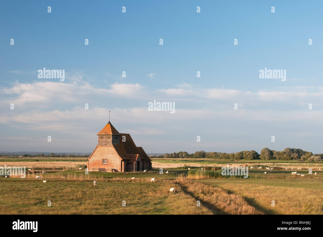 Fairfield Chiesa, Romney Marsh, Kent, Inghilterra, estate. Foto Stock