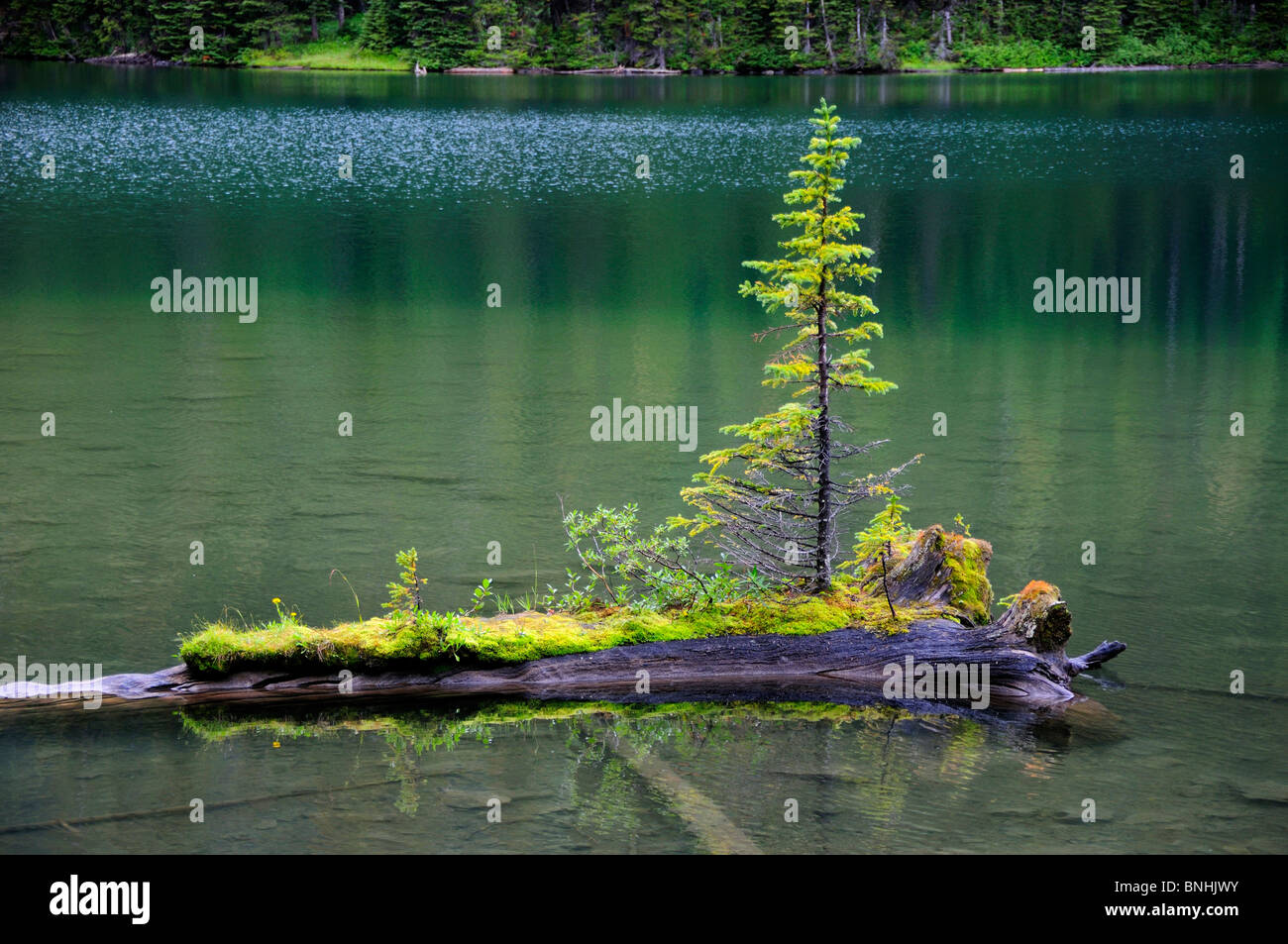 Canada Rawson Lago Peter Lougheed Parco provinciale della provincia di Alberta paesaggio paesaggio panoramico acqua di riflessione di foreste di montagna Foto Stock