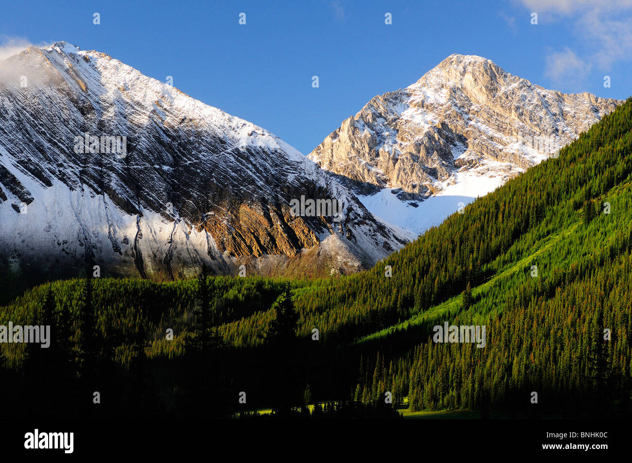 Canada Montagne Rocciose Peter Lougheed Parco provinciale della provincia di Alberta nuvole di legno di foresta di conifere conifere natura selvaggia Foto Stock