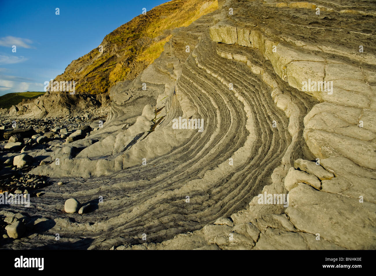 Rocce di età Silurian (Llandovery) formando una sequenza turbidite scuro di scisti limaccioso alternati con più pallida sands Aberystwyth REGNO UNITO Foto Stock