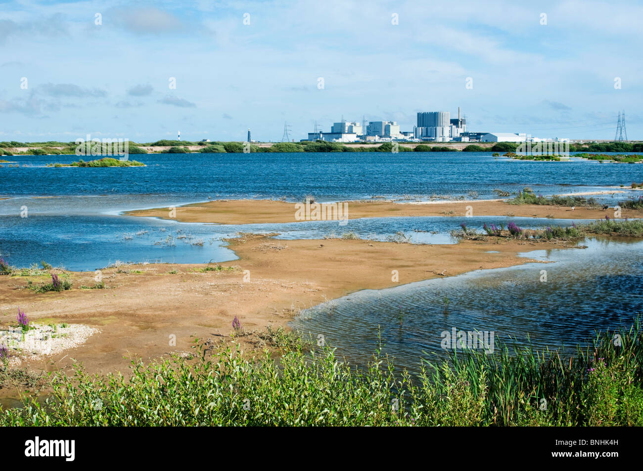 Dungeness RSPB Riserva e centrale nucleare, vista da da Scott nascondi, Kent, Inghilterra. Foto Stock