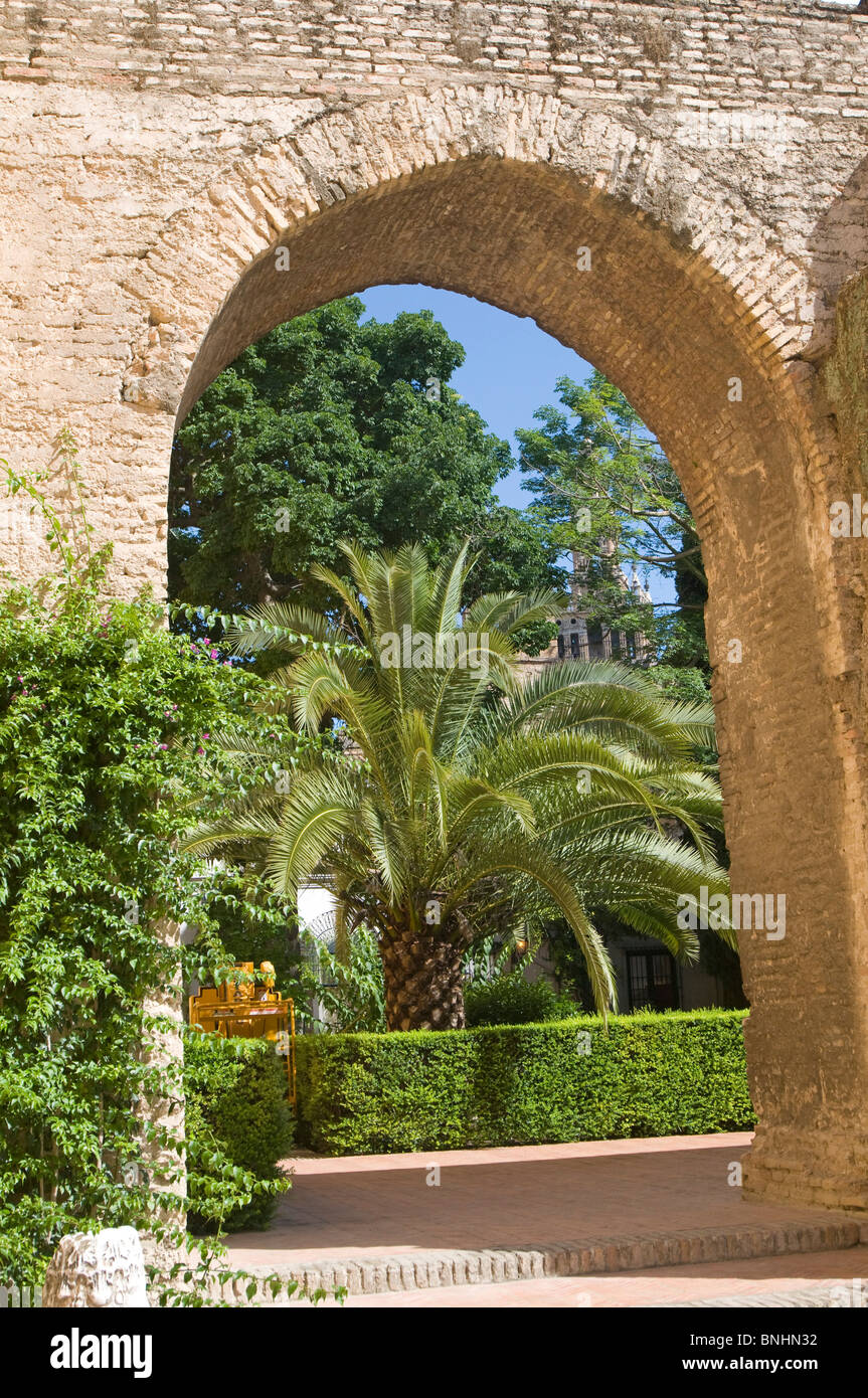 Patio de la Montería - Royal Palazzo Alcazar di Siviglia, Spagna Foto Stock