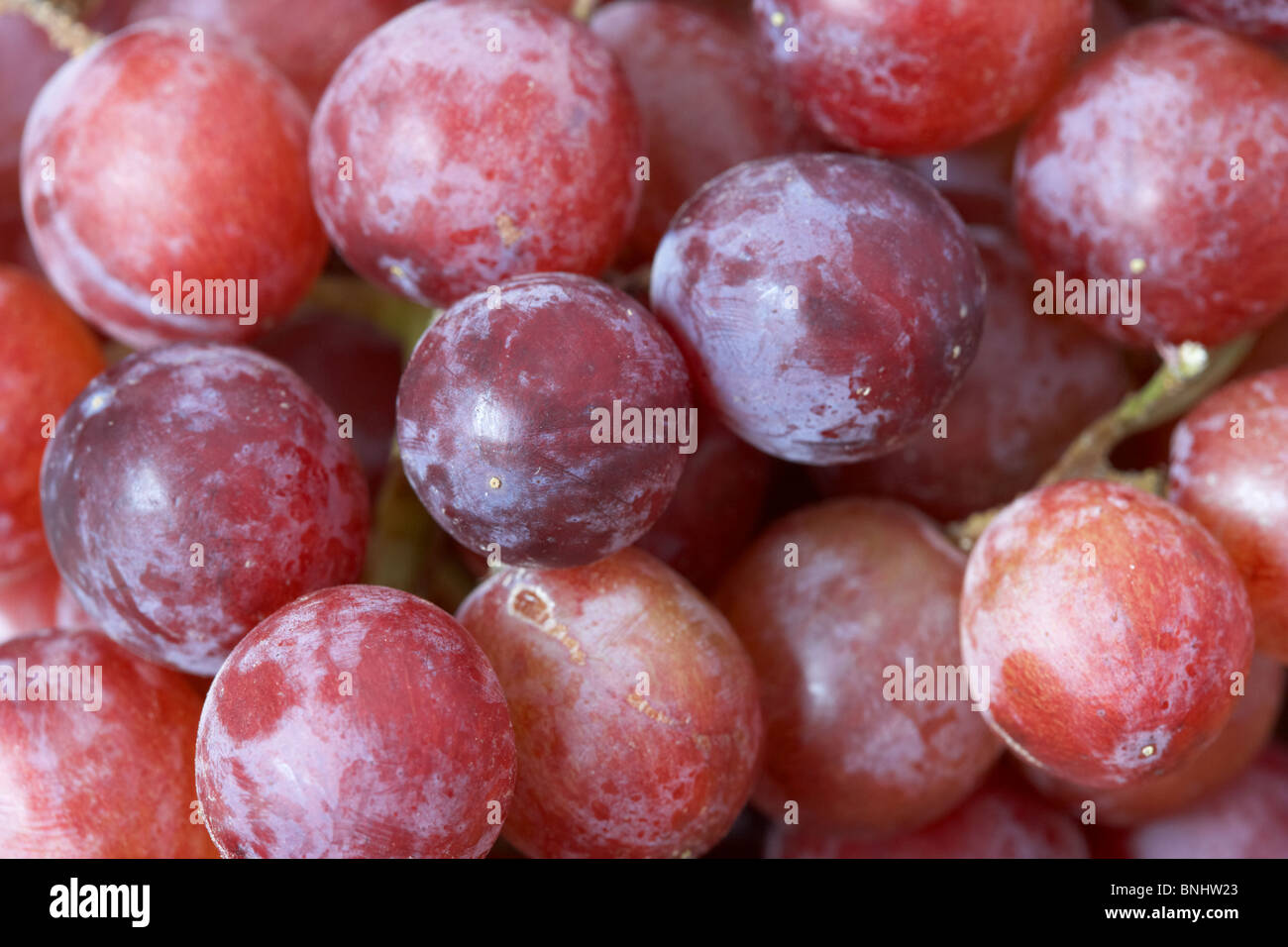 Frutta fresca rosso fiamma uva Foto Stock