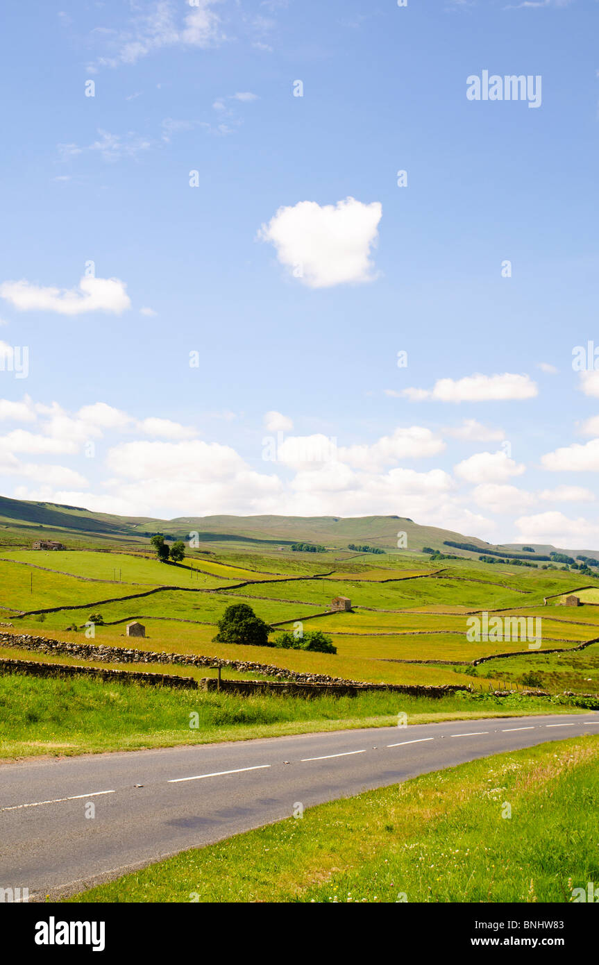 Yorkshire Dales, paesaggio nella parte superiore Wensleydale vicino Hawes Foto Stock
