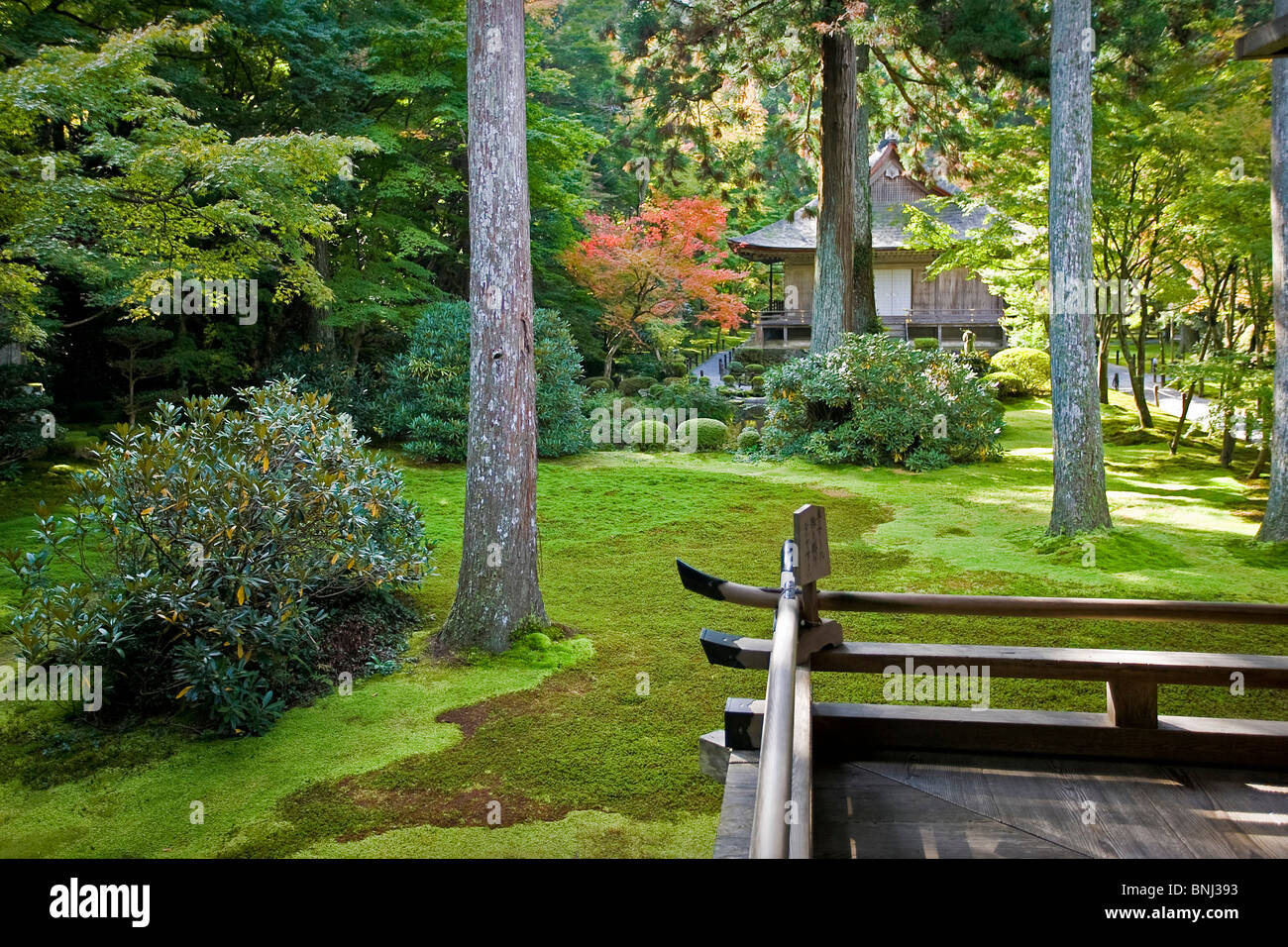 Asia Giappone kyoto city town city Sanzen nel tempio tempio disposizione cultura tradizione park Foto Stock