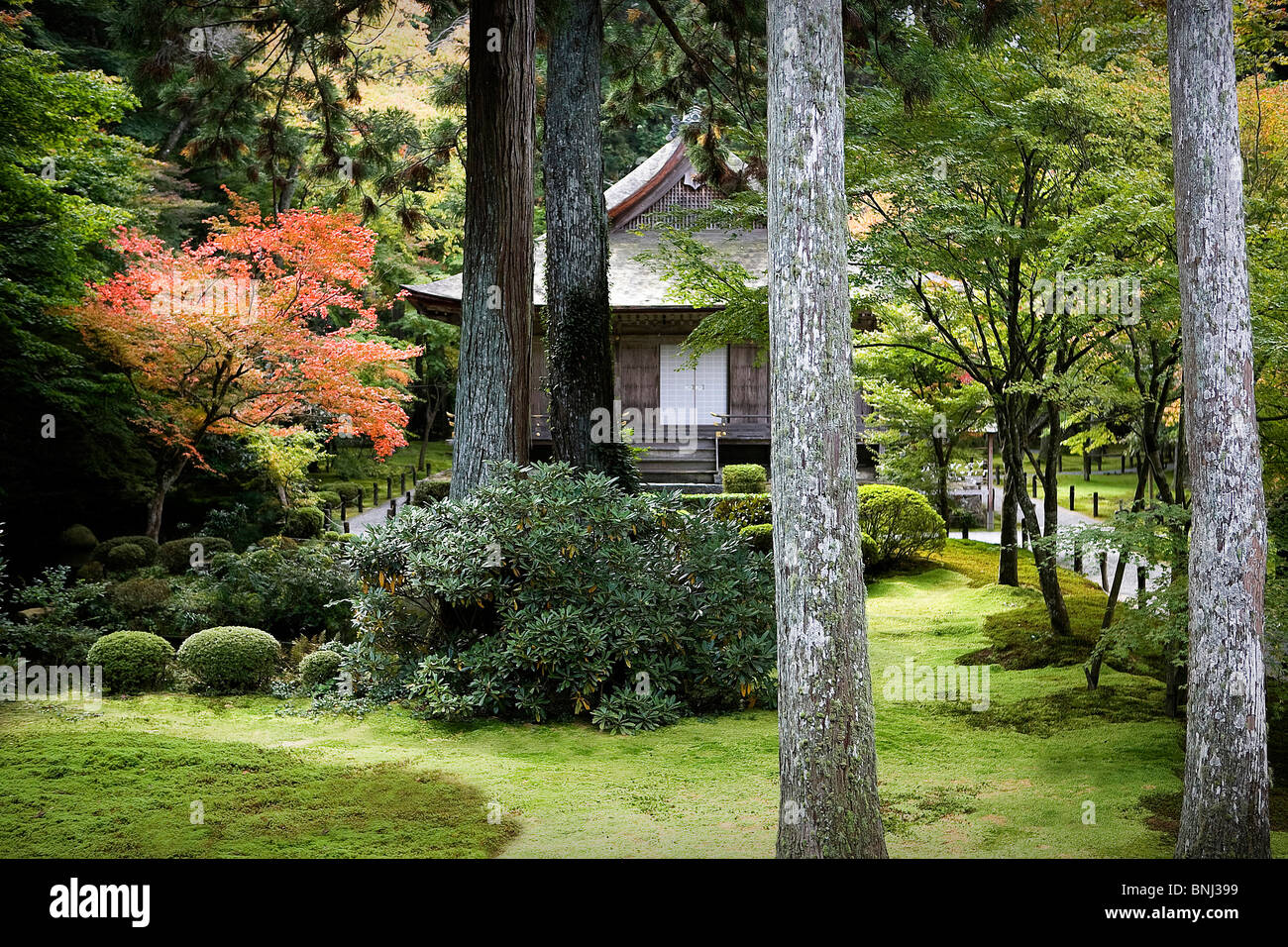Asia Giappone kyoto city town city Sanzen nel tempio tempio disposizione cultura tradizione park Foto Stock