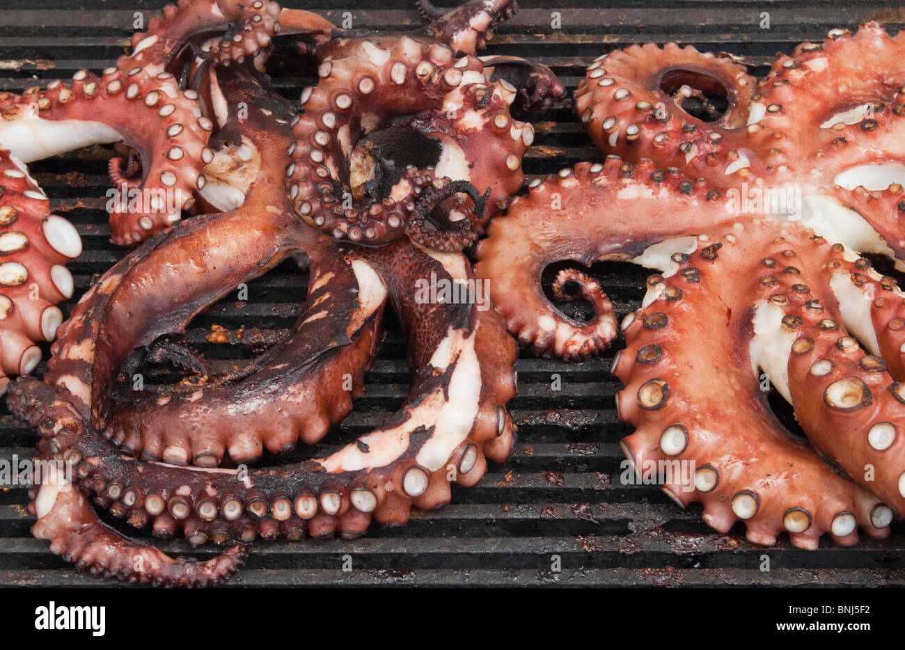 Il polpo cottura su un grill in Grecia Foto Stock