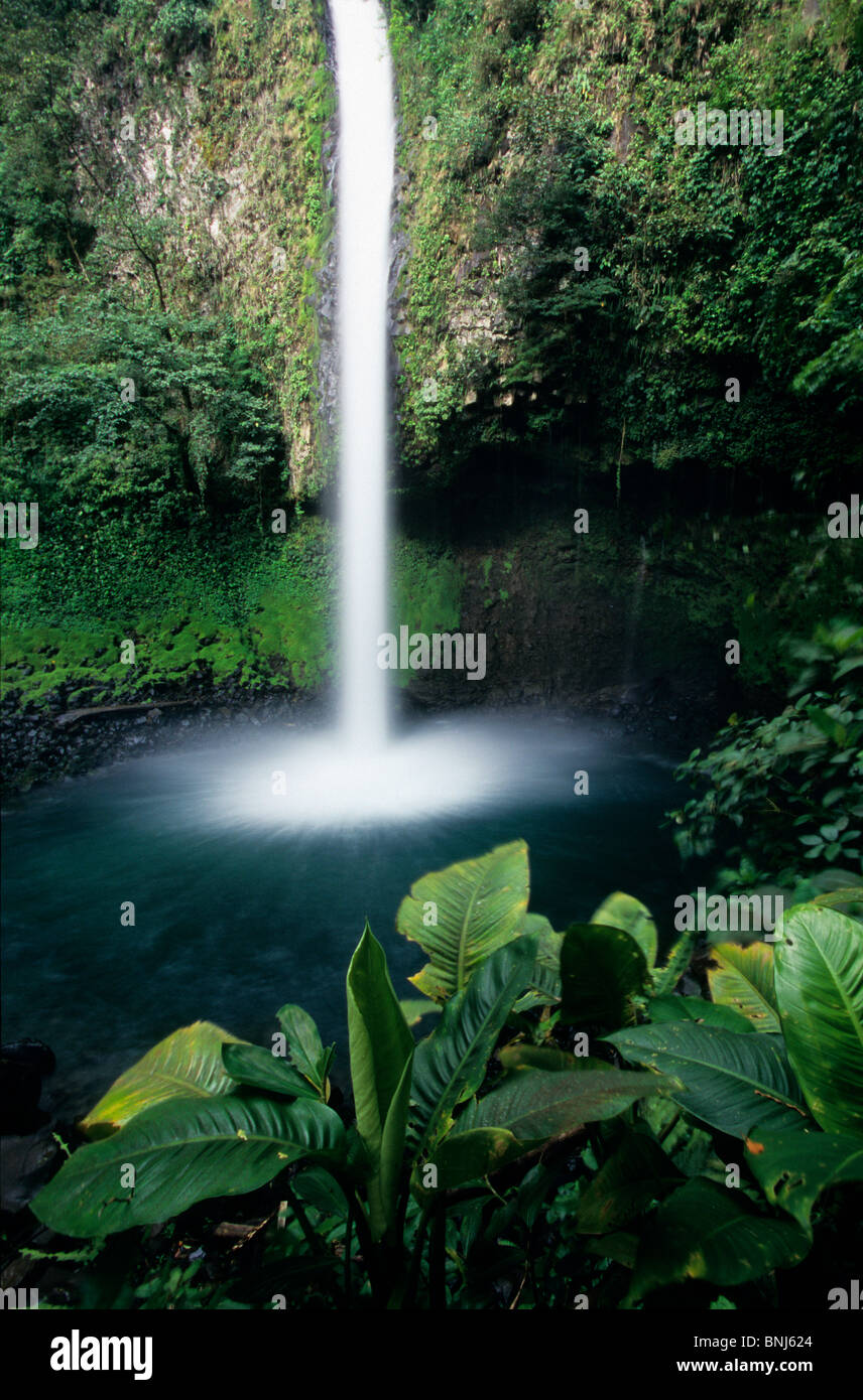 Costa Rica la foresta pluviale di legno della foresta una cascata nella giungla roccia tropicali Catarata vegetazione fortuna in America centrale Foto Stock