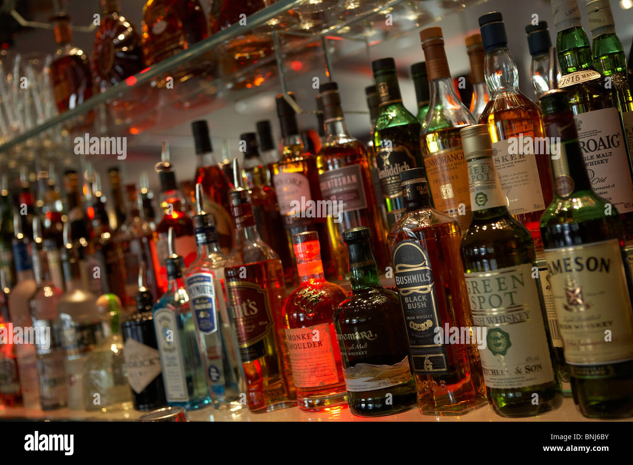 Bottiglie di alcolici nel COCKTAIL BAR Foto Stock