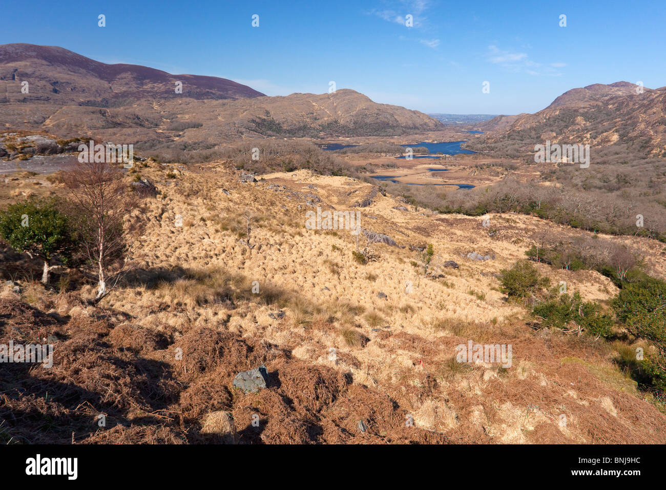 Ladies View Anello di Kerry, Parco Nazionale di Killarney County Kerry Co. nel sole primaverile Repubblica di Irlanda Eire Europa irish tour Foto Stock