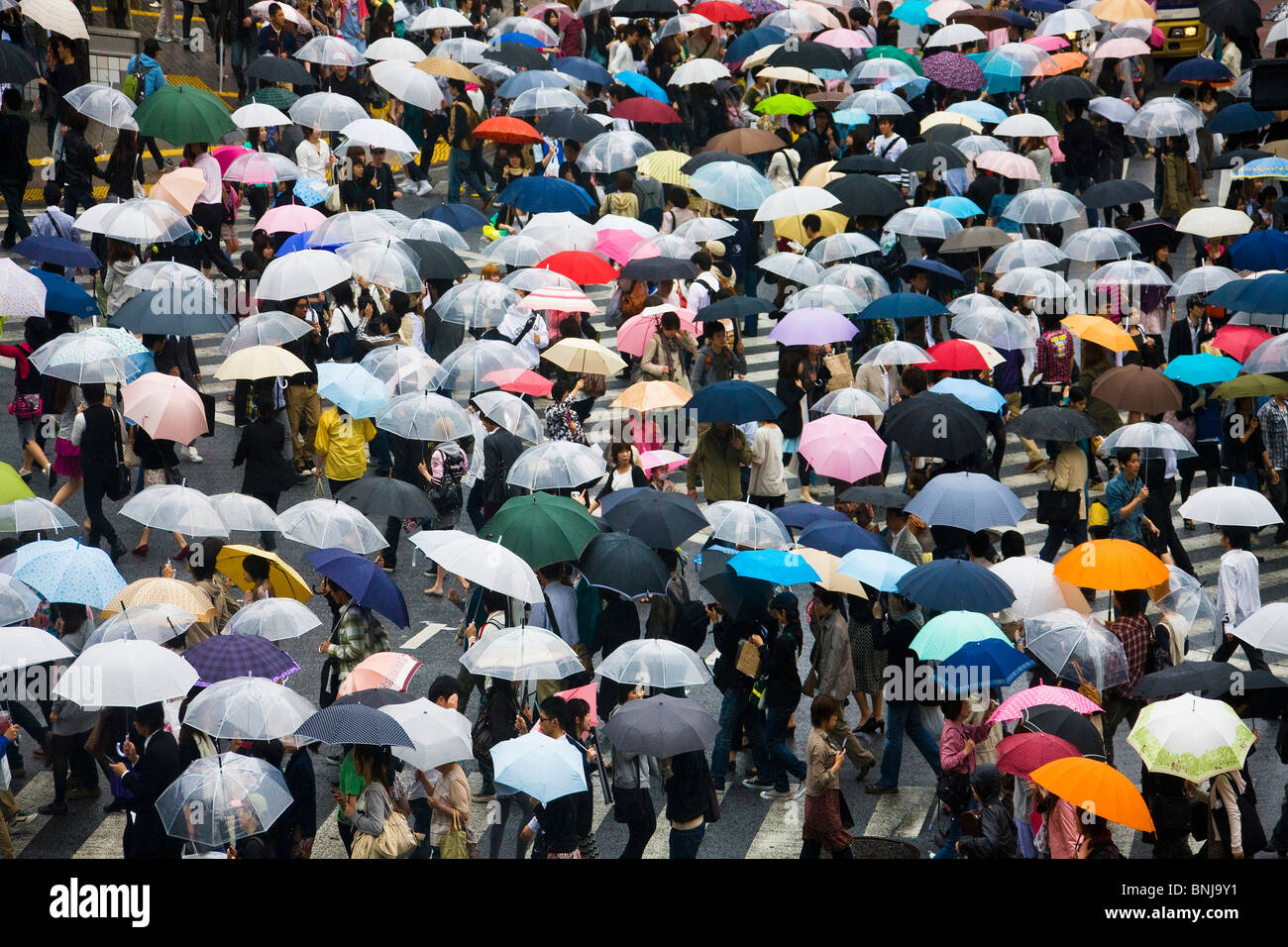 Asia Giappone Tokyo città quartiere Shibuya Passante schermate pedonale piogge ombrelloni Foto Stock
