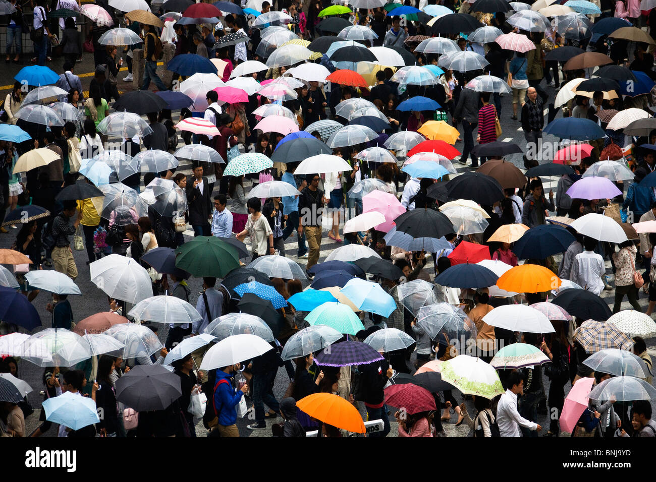 Asia Giappone Tokyo città quartiere Shibuya Passante schermate pedonale piogge ombrelloni Foto Stock