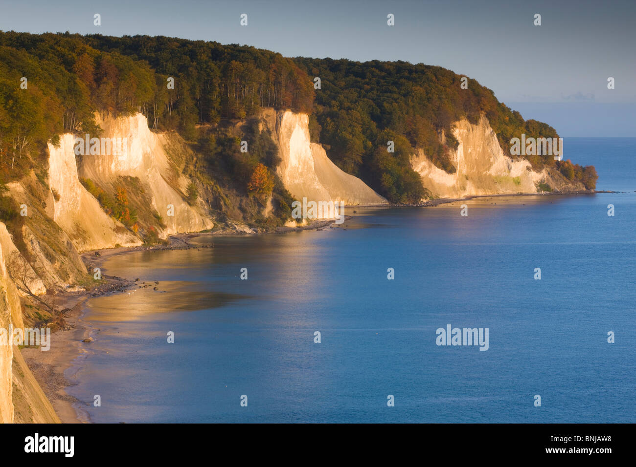 Jasmund National Park Germania Meclemburgo-Pomerania Occidentale Rügen isola del Mar Baltico chalk scogliere paesaggio paesaggio di rocce legno Foto Stock