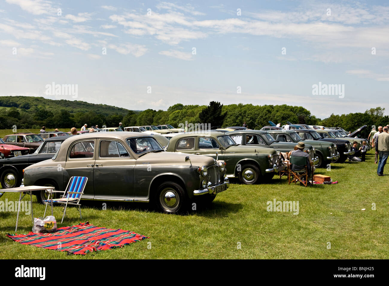 Lineup della storica Rover automobili a un appassionato di rally nel Sussex, Regno Unito Foto Stock