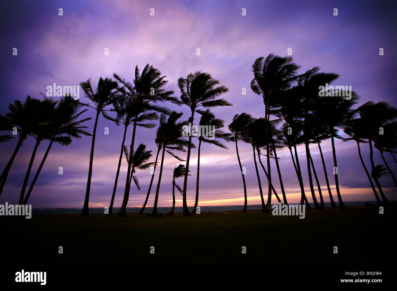 Tramonto tropicale Foto Stock