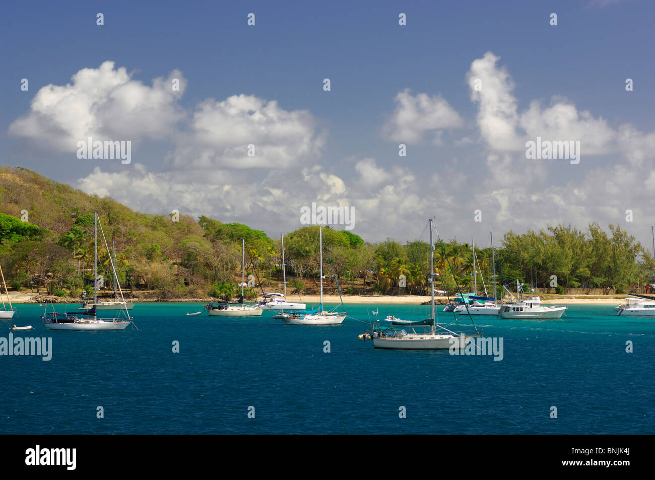 Rodney Bay Saint Lucia Caraibi costa del mare oceano barca Barche a vela Foto Stock