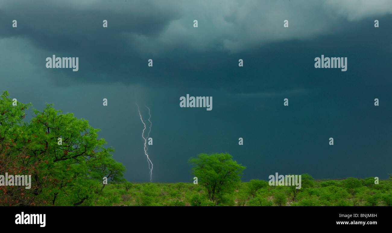 Tempesta Fulmine Parco Nazionale Etosha Kunene Regione Africa Namibia Travel natura paesaggio Foto Stock