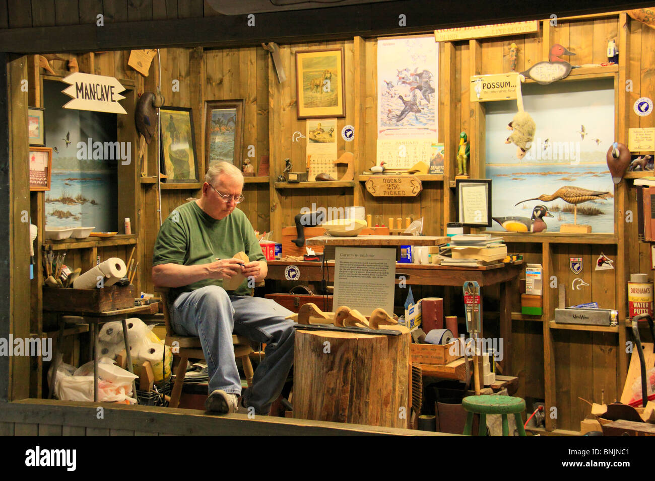 Decoy Makiing presentano presso il Virginia Aquarium e Marine Science Center, Virginia Beach, Virginia, Stati Uniti d'America Foto Stock