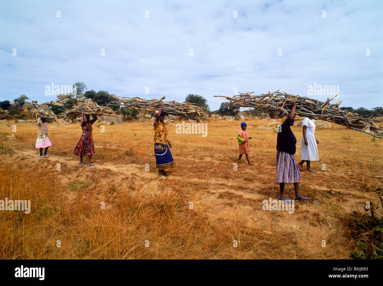 Zimbabwe le donne che trasportano legna da ardere sulla testa Foto Stock