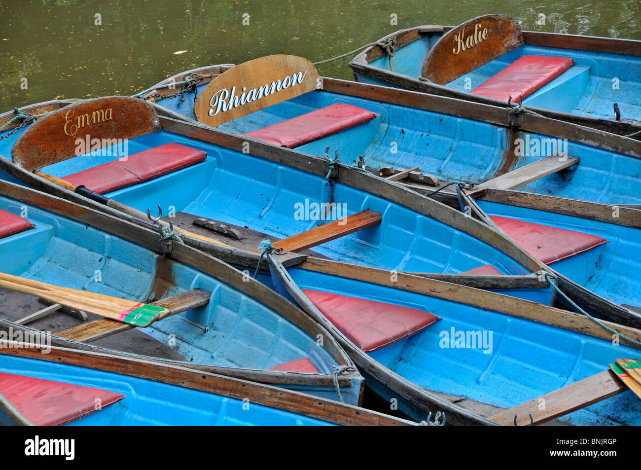 Sterline colorati, fiume Cherwell, Oxford, Inghilterra Foto Stock