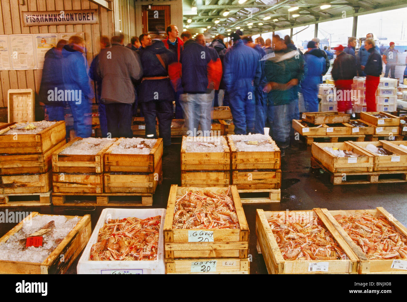 Scatolato di pesce fresco, gamberetti e granchi che viene messo all'asta fuori dal dock di Göteborg (Goteborg) ai mercati e ristoranti Foto Stock