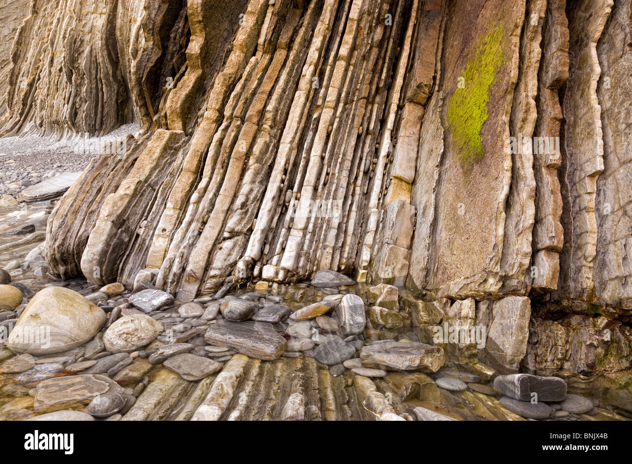 Verticale formazione sedimentaria delle rocce presso il litorale Foto Stock