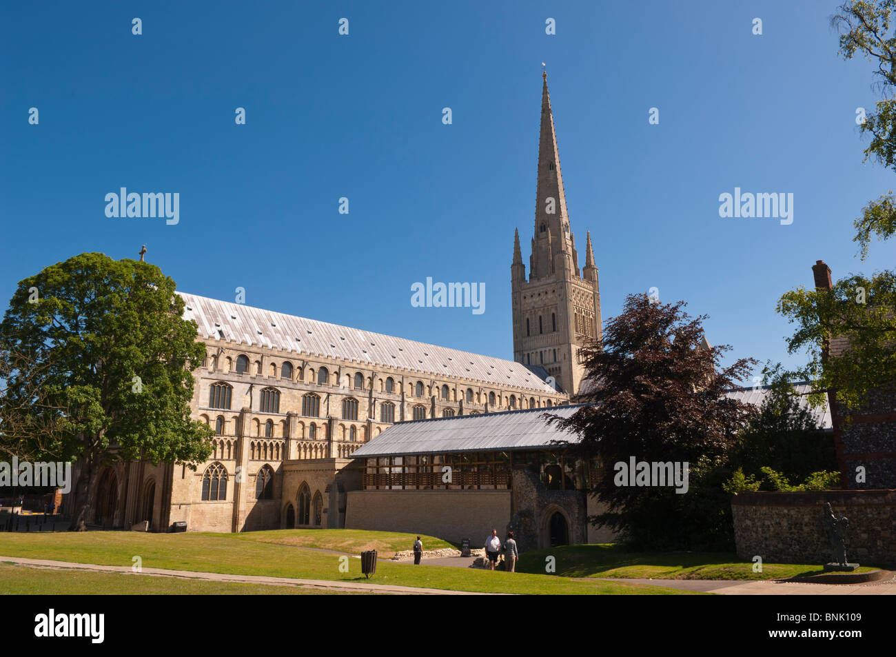 Norwich Cathedral in Norwich , Norfolk , in Inghilterra , Gran Bretagna , Regno Unito Foto Stock