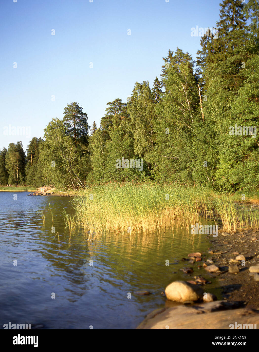 Costa dell'isola di Seurasaari e del museo all'aperto, Seurasaari, città di Helsinki, Repubblica di Finlandia Foto Stock