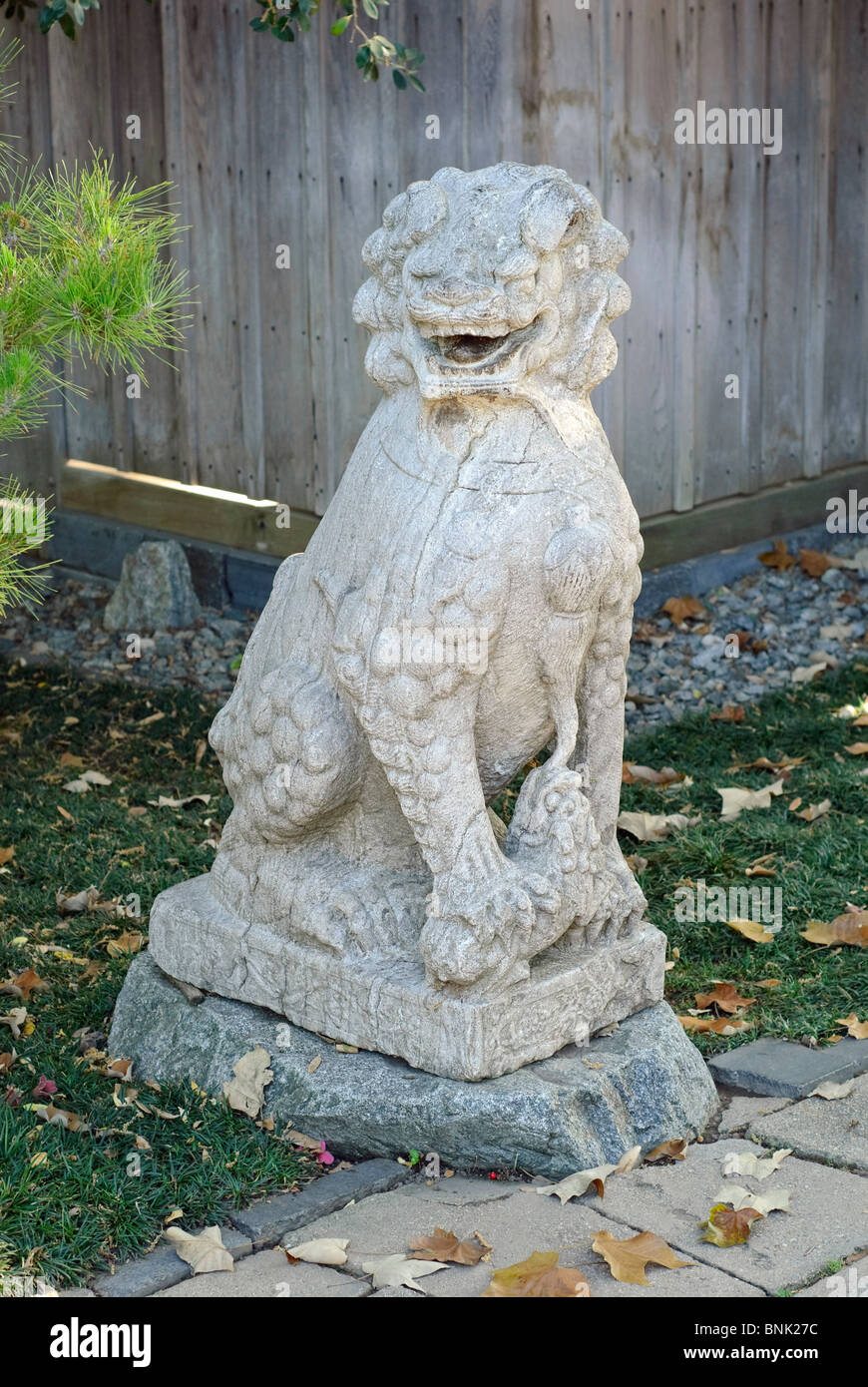 Custode cinese Lion statua. Foto Stock