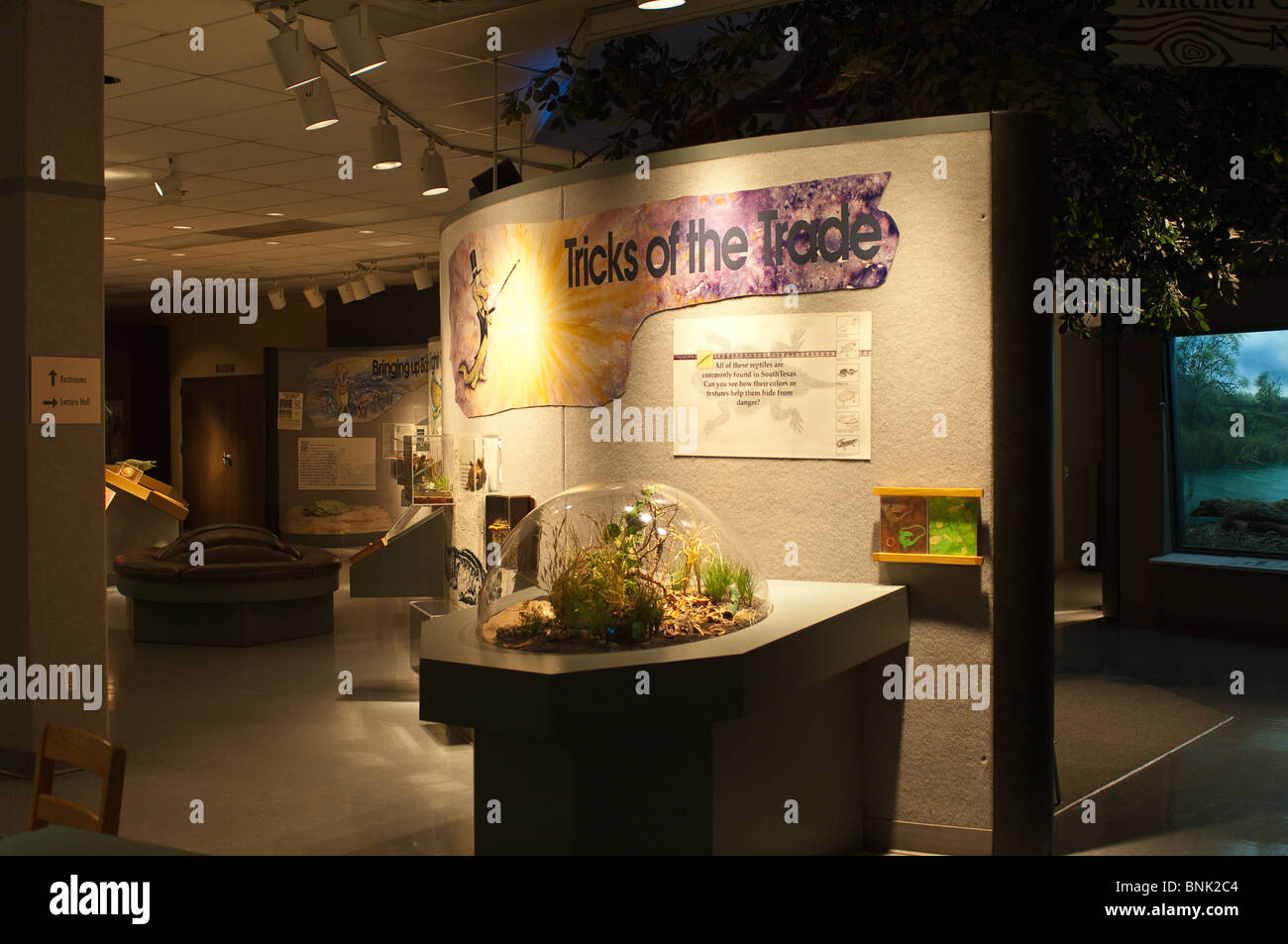 Texas, Corpus Christi. Museo della scienza e della storia di Corpus Christi. Foto Stock