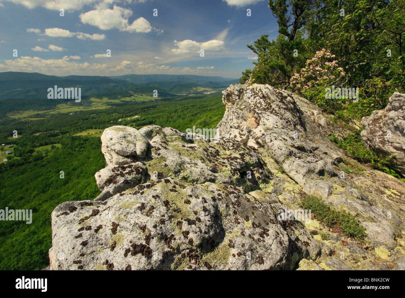 Vista della Germania Valle e manopola di abete rosso da Nord a forcella il sentiero di montagna, Franklin, West Virginia, USA Foto Stock