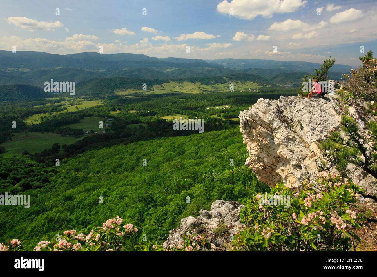 Escursionista godendo di vista della Germania Valle e manopola di abete rosso da Nord a forcella il sentiero di montagna, Franklin, West Virginia, USA Foto Stock