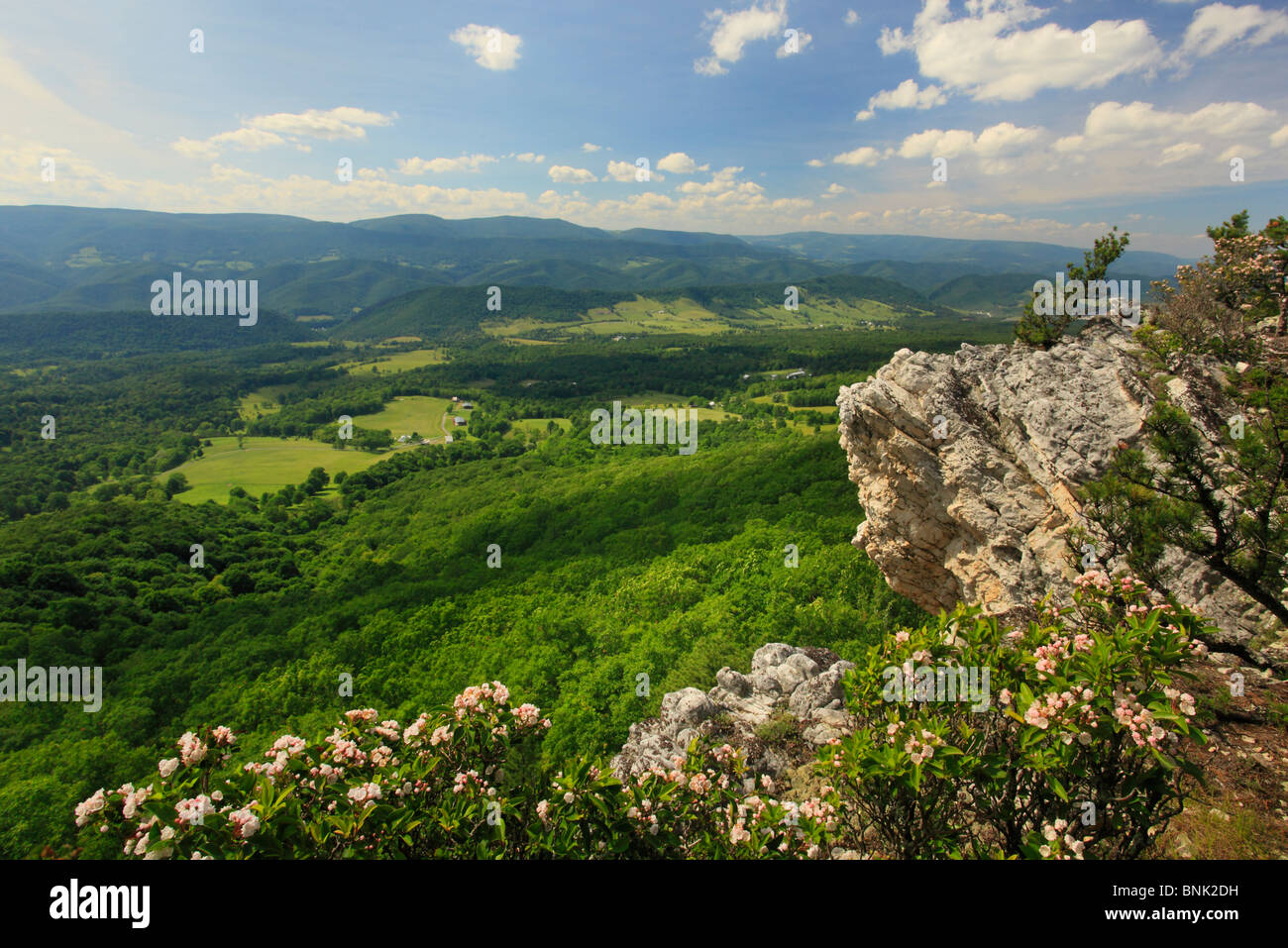 Vista della Germania Valle e manopola di abete rosso da Nord a forcella il sentiero di montagna, Franklin, West Virginia, USA Foto Stock