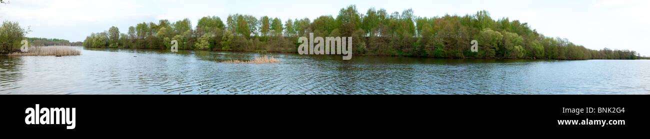 Ampio panorama con il fiume e gli alberi nella natura selvaggia. Foto Stock