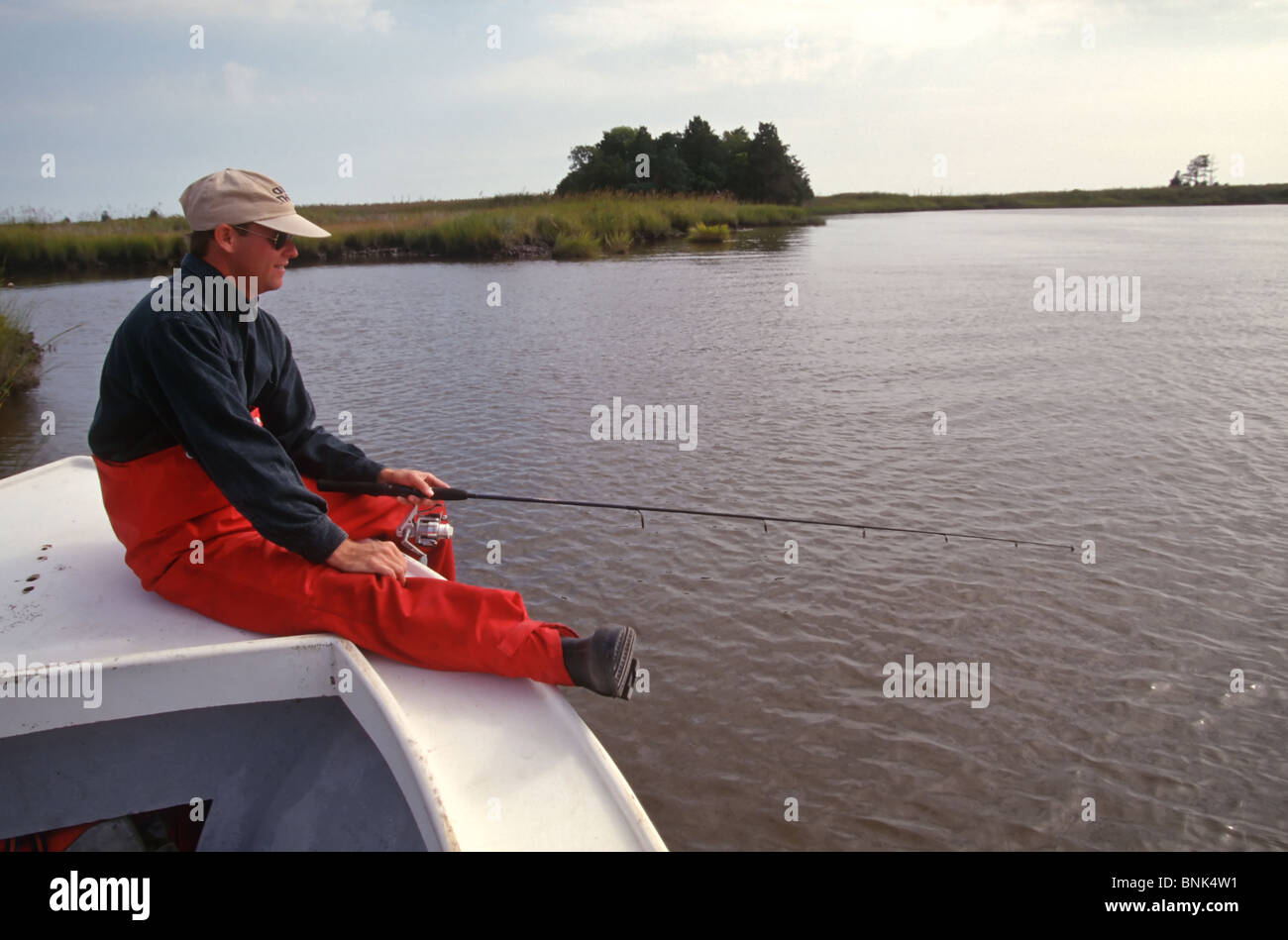 SHELLTOWN, MD, Stati Uniti d'America - 1997/09/25: un ricercatore per il Maryland dipartimento di Risorse Naturali di alosa cattura i pesci per i segni della carne mangiare Pfiesteria malattia nel fiume Pocomoke lungo la baia di Chesapeake Settembre 25, 1997 in Shelltown, Maryland. Il focolaio ha causato una perdita di $43 milioni di dollari in entrate di pesca e si ritiene che sia causato dal ballottaggio del pollo il letame proveniente dalle aziende agricole della zona. (Foto di Richard Ellis) Foto Stock