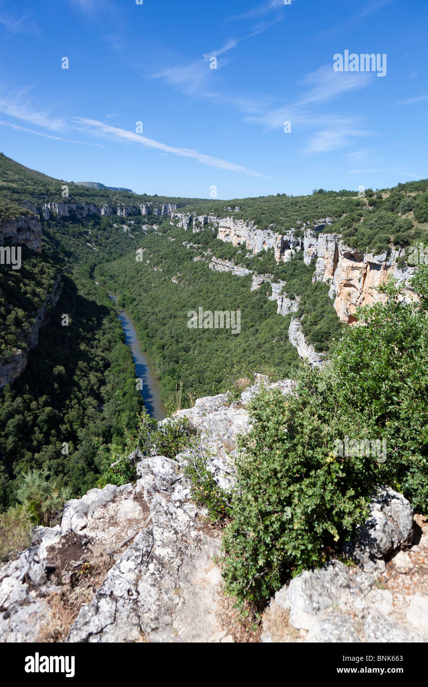 Cañones del Ebro, Pesquera de Ebro, Burgos, Castilla y Leon, Spagna Foto Stock