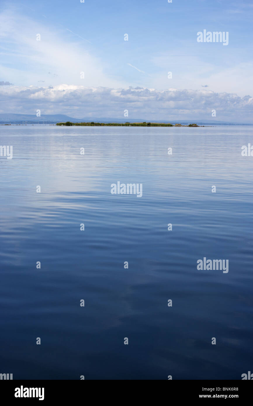 Piccole uova e lattimi isola uno dei tanti piatti zone ribassate di Lough Neagh Irlanda del Nord Regno Unito Foto Stock