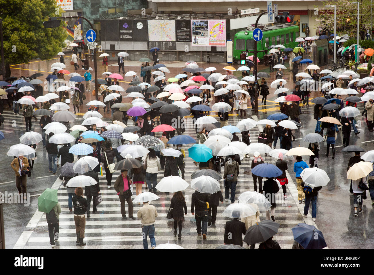 Le persone in Shibuya strisce pedonali sotto la pioggia, Tokyo, Giappone Foto Stock