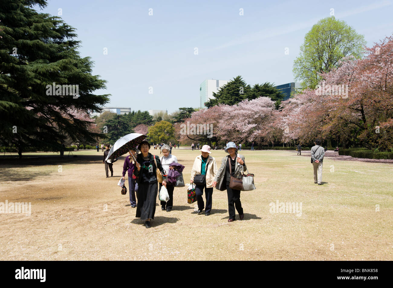 Shinjuku Gyoen, Tokyo, Giappone Foto Stock