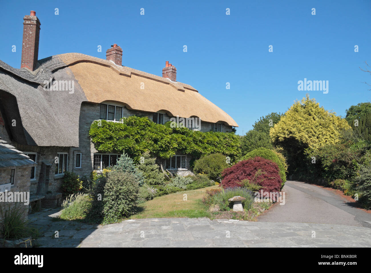 Un grazioso cottage con tetto in paglia e giardino nel grazioso villaggio inglese di Corfe Castle, Dorset, Regno Unito. Foto Stock