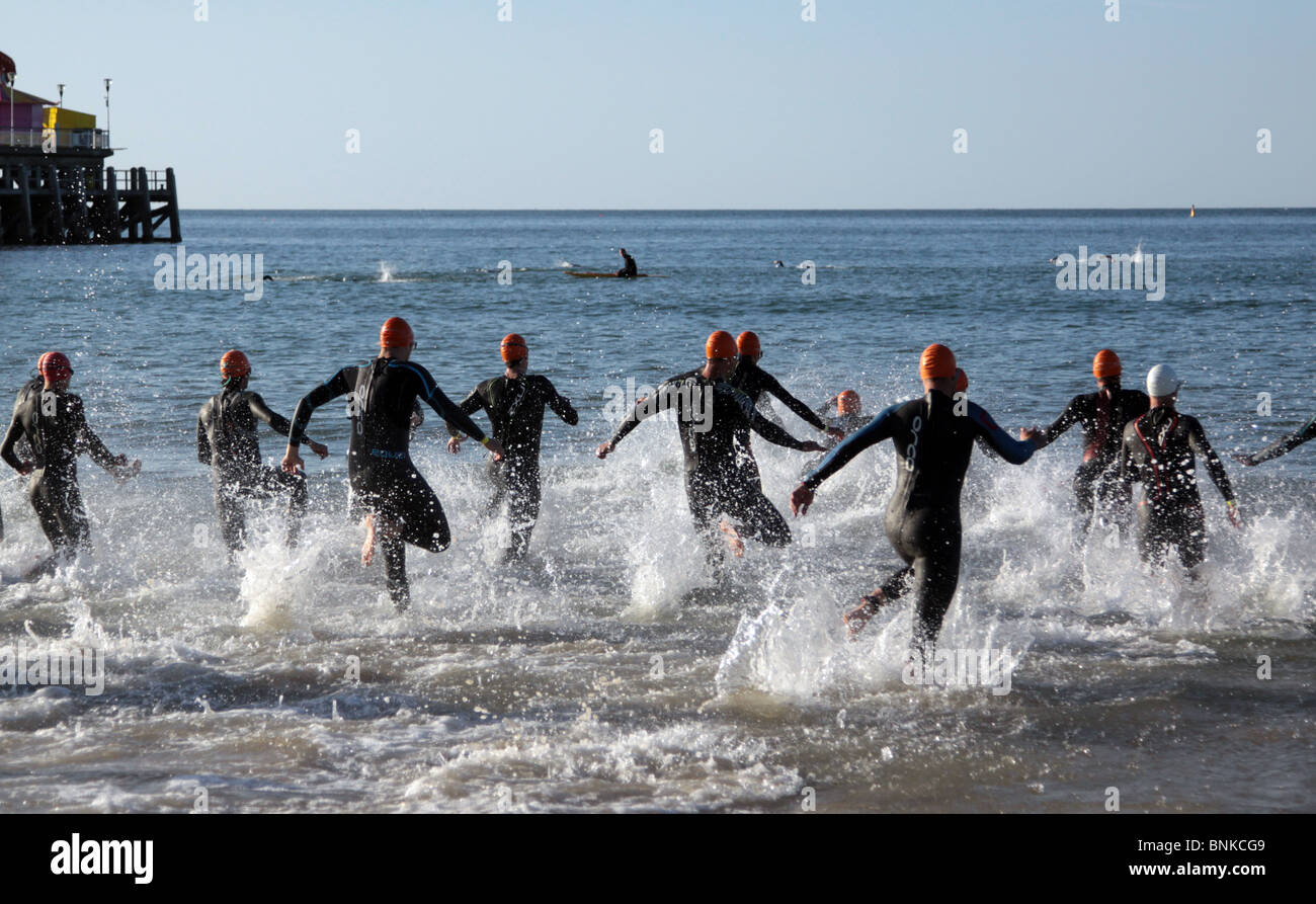 Triatleti entrata in acqua al 2010 Bournemouth Olympic Triathlon Foto Stock